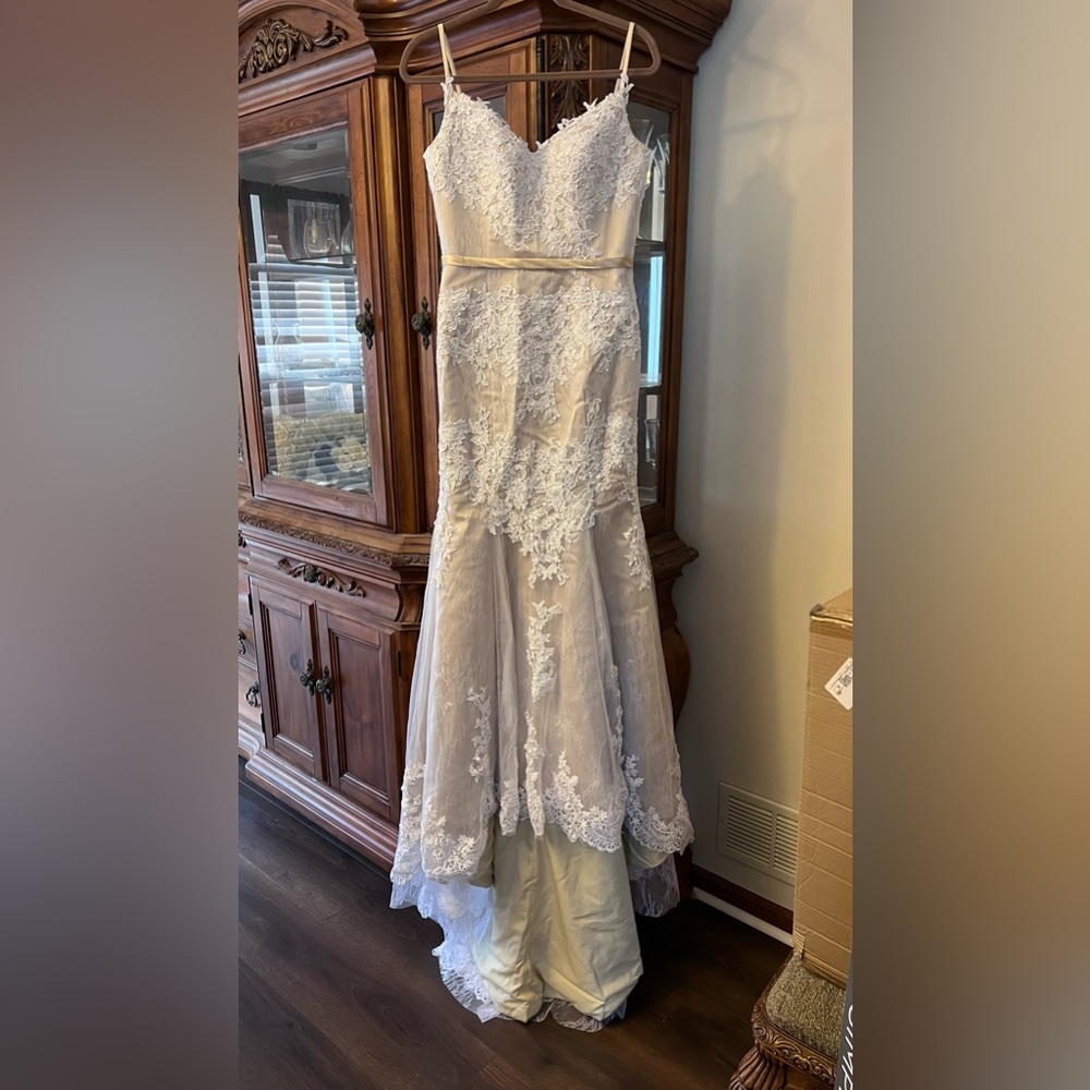 Champagne Mermaid/Trumpet Wedding Dress with white/ivory lace overlay.